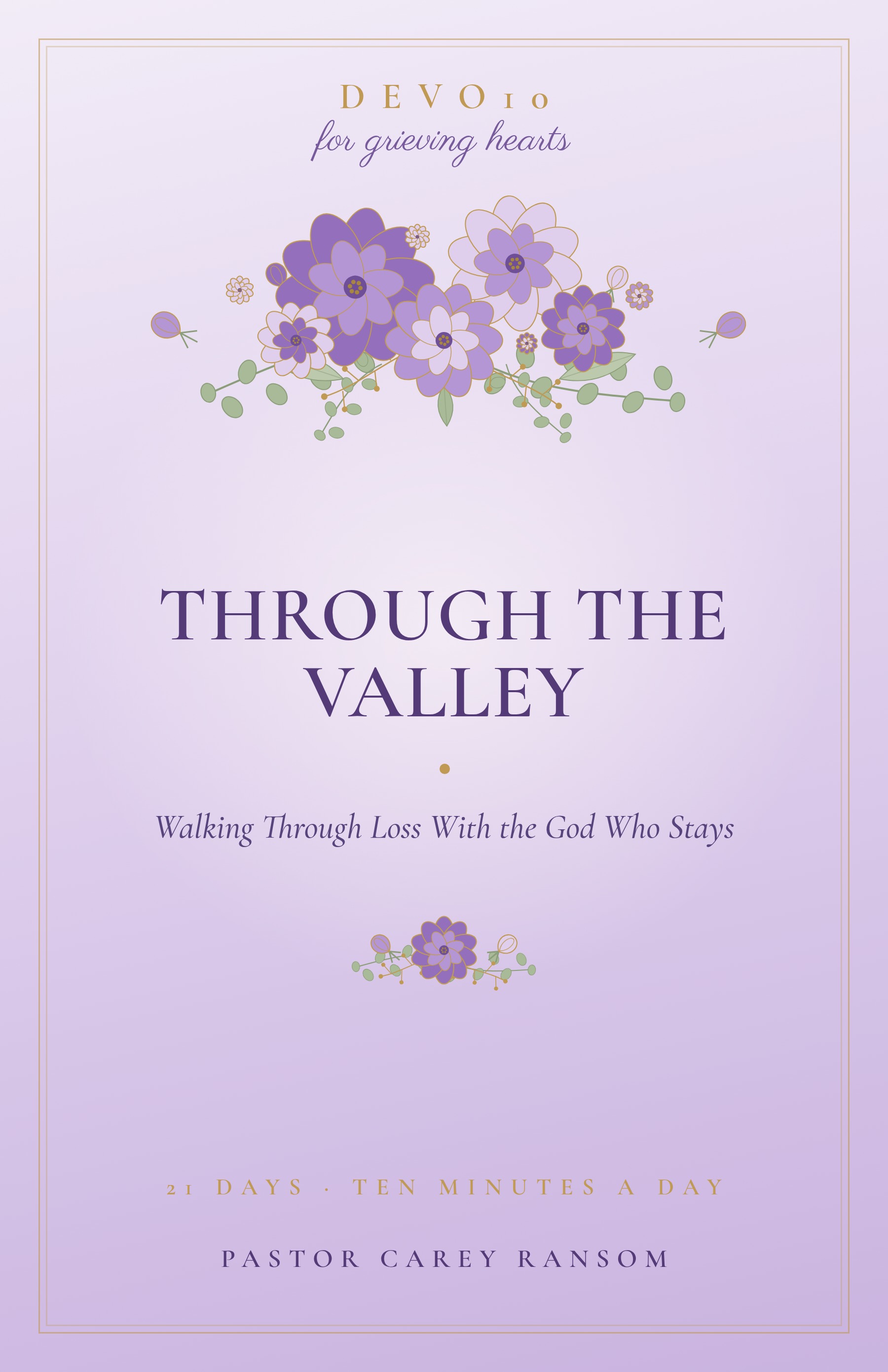 Through the Valley cover