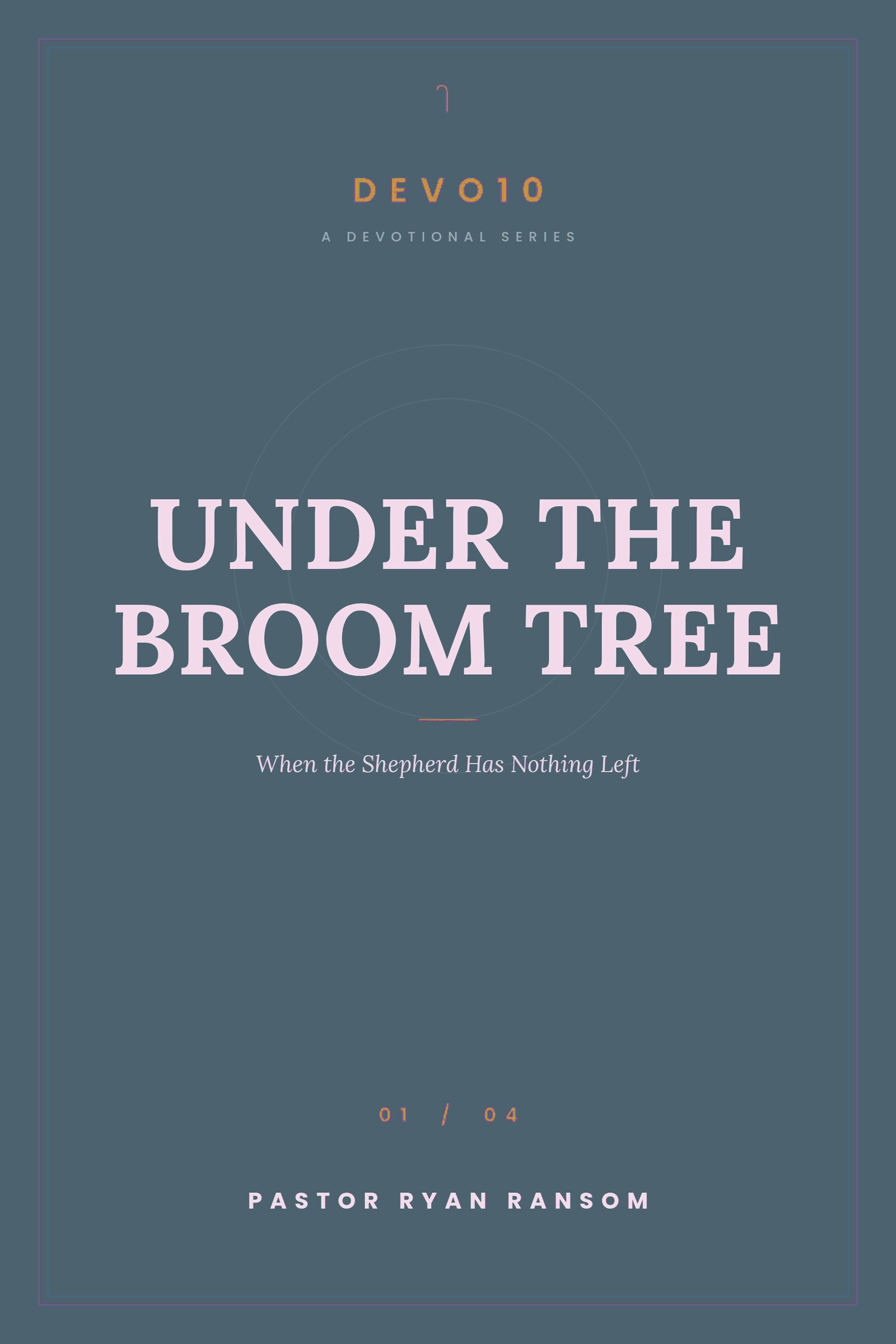 Under the Broom Tree cover